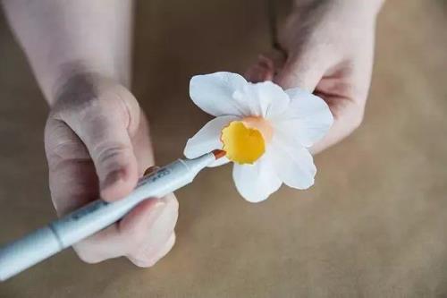 床单扎花教程简单