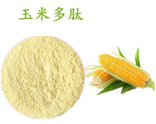 玉米肽能怎么喂牛