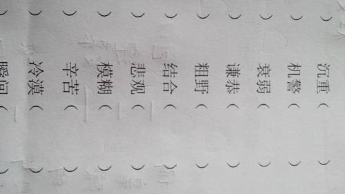 细腻的反义词啊
