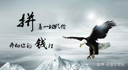 生命不息的经典语录