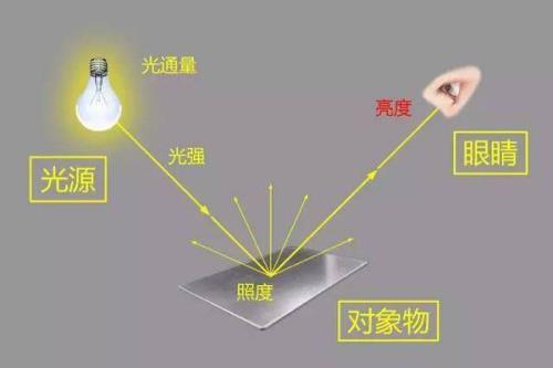 人眼看东西与光线方向相反吗