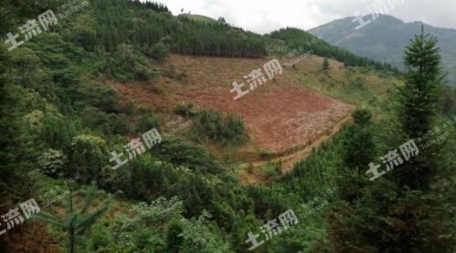 云南文山有货拉拉吗