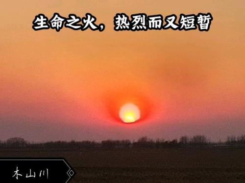 生不带来死不带去是什么歌