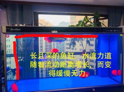 壁挂式过滤器吸不上来鱼便