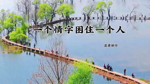 一个情后面还有一个什么字