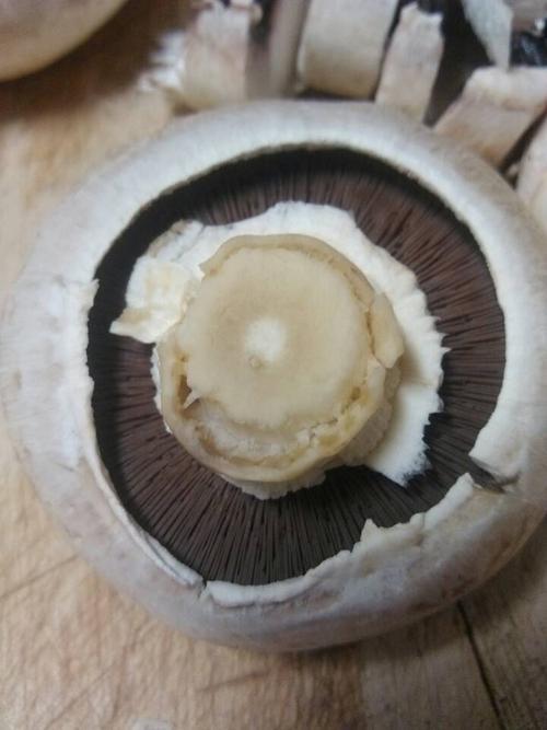 洗蘑菇的正确方法