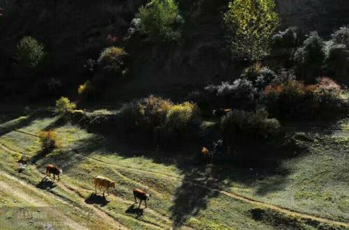 山沟沟里是什么意思