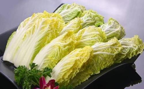 娃娃菜和大白菜的区别是什么