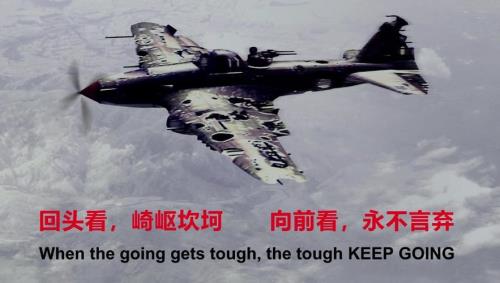 形容过去一年坎坷的经历