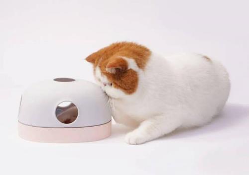 宠物tab有什么用