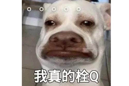 不要q我什么意思