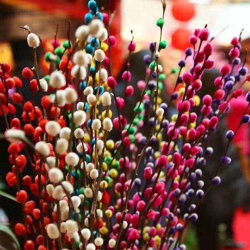 年宵花银柳是真花吗