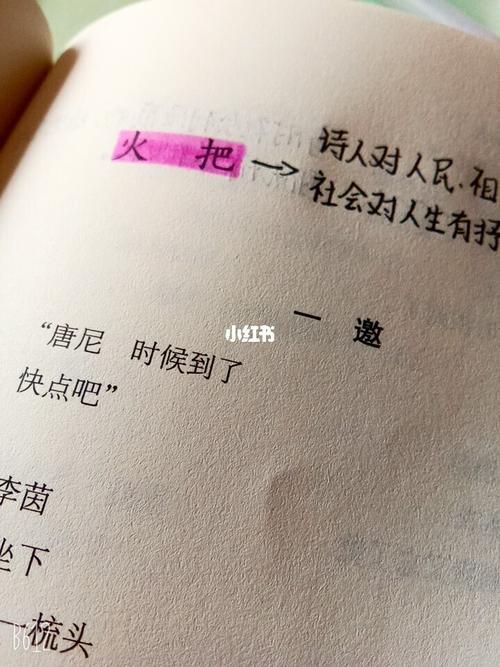艾青诗选赏析火把，急
