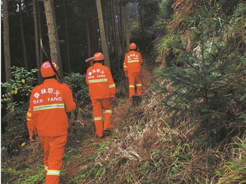 森林巡护员真实收入