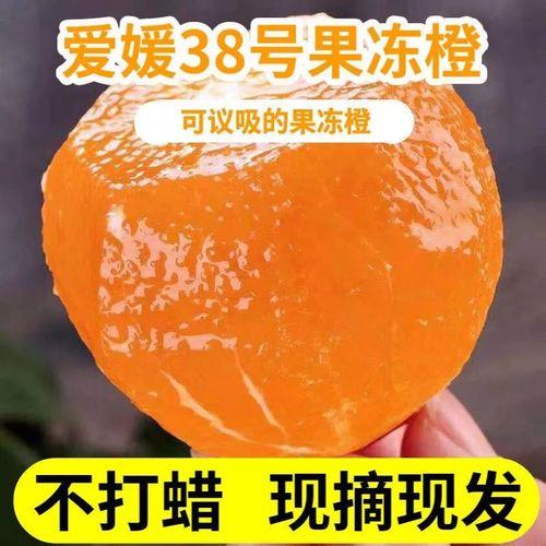 果冻橙爱媛38号批发价