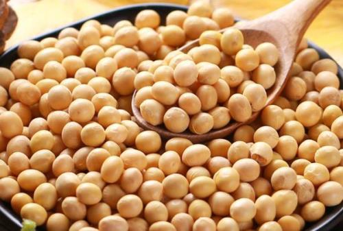 黄豆怎样吃营养价值最高