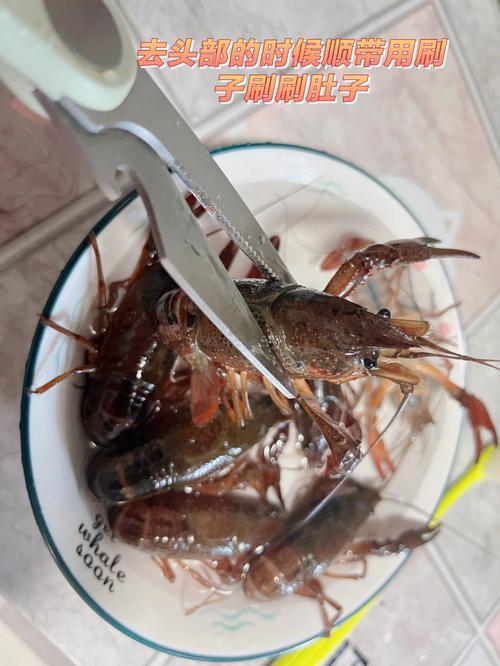 杀小青龙虾步骤