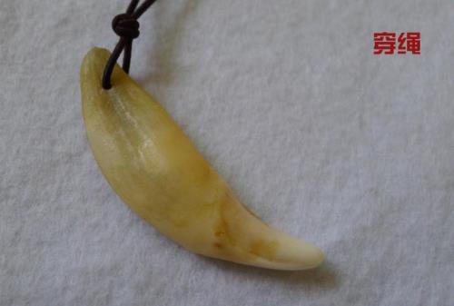 狼牙用什么油泡保养最好