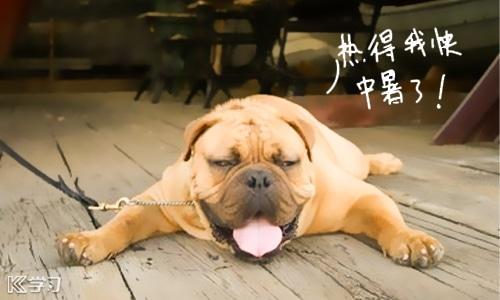 热的精辟句子
