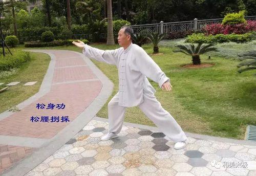 杨氏打得最好的太极拳