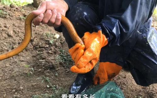 地笼的容量是多大