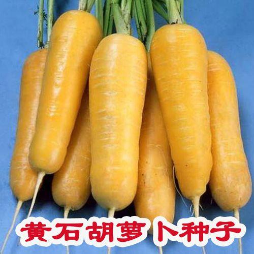 黄色酸菜有哪些