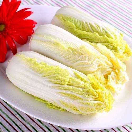 白菜和娃娃菜的区别