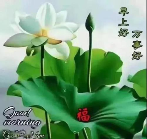 祝你天天有人爱下一句