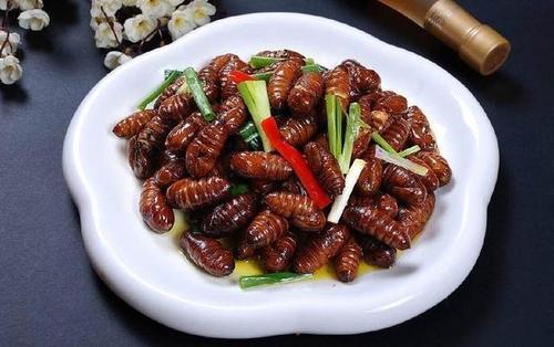 干炒蚕蛹