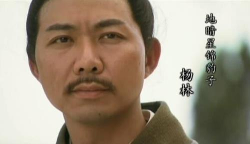 靠山王杨林最后结局