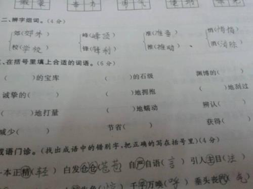 填上合适的词语什么的枝叶