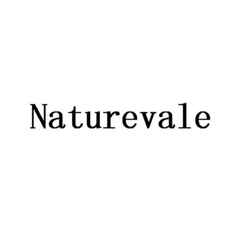 vale是什么公司