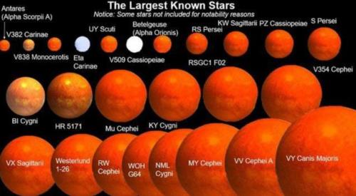 太阳系最大的恒星是谁