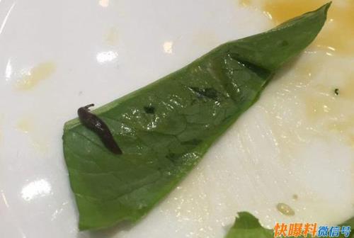 家里潮湿有鼻涕虫怎么办