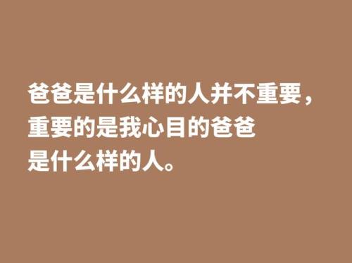 父爱像什么仿写句子