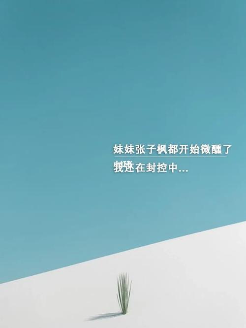夸自己妹妹好看的文案