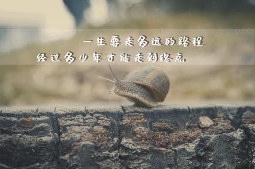 人生的感悟