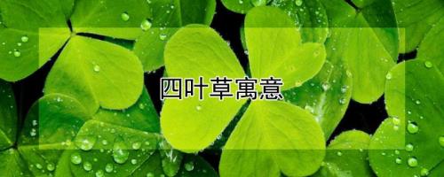 四年级下册绿叶，中心意思