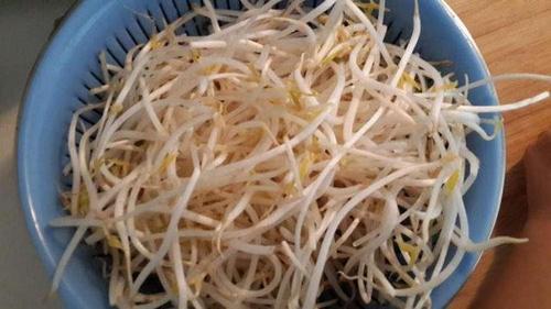 隔夜豆芽放冰箱可以炒吗