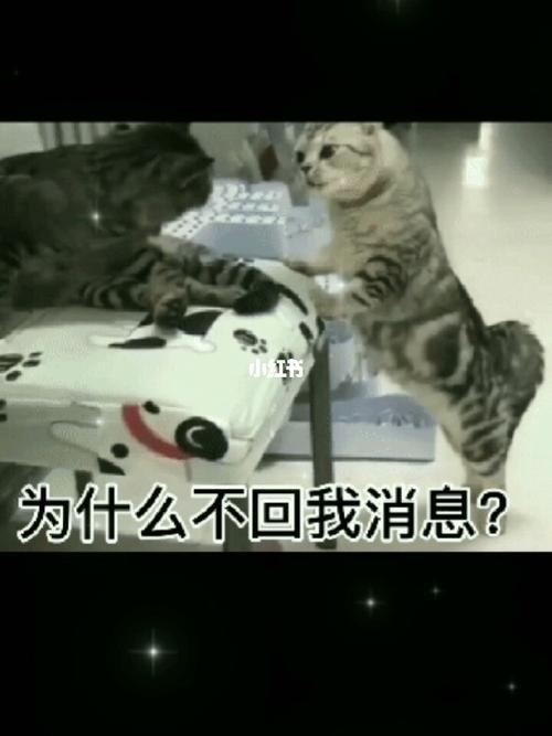 你干嘛呢怎么回复