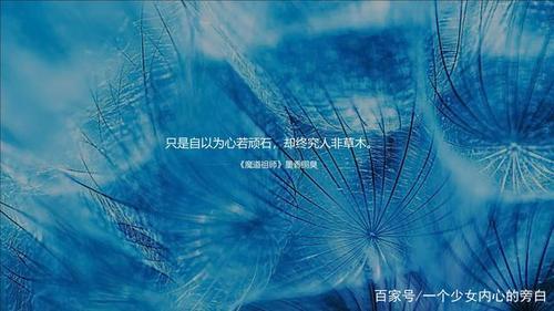 城南以南不再蓝原版语录