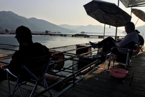 红水河筏钓哪家好