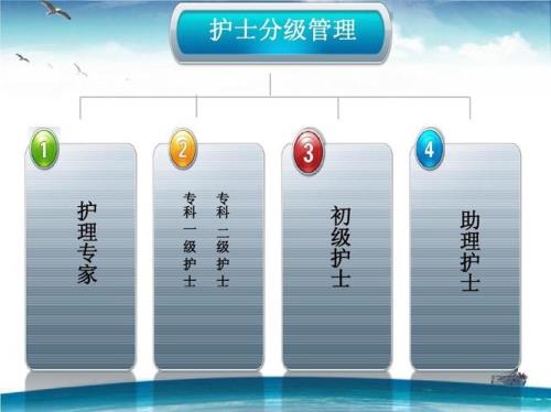 护士等级怎么分
