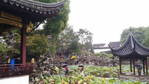 苏州狮子林春节是否要门票