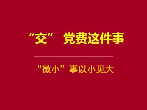 个人如何网上交党费
