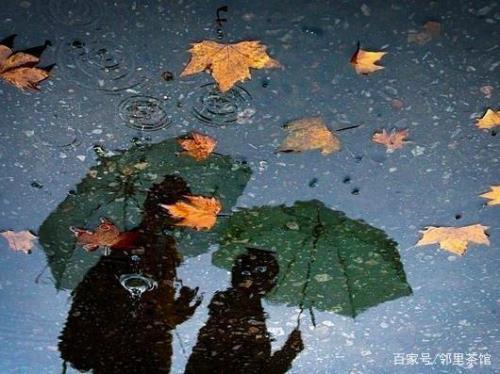 关于秋风秋雨的诗词