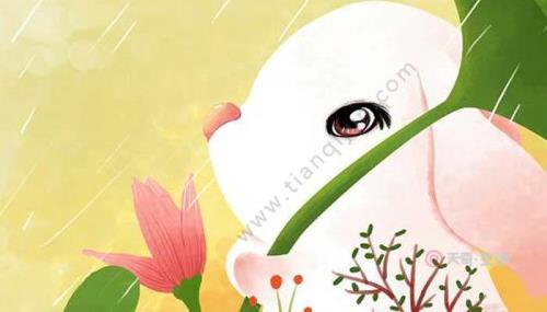 兔年是多少年出生的人