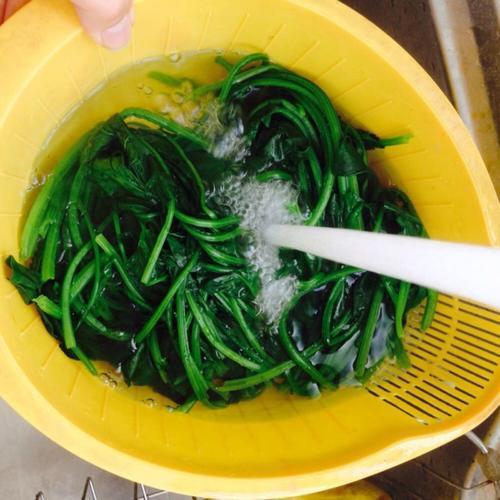 菠菜焯水多久