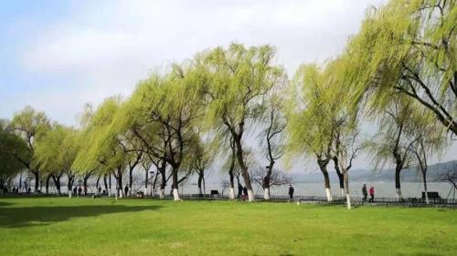 拂堤的读音