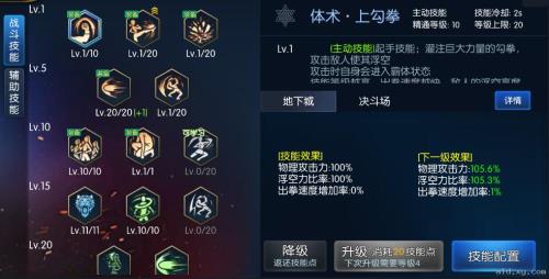 神陵武装气功技能加点